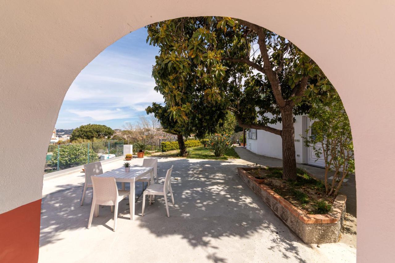 Casa Degli Aranci Villa Forio  ภายนอก รูปภาพ
