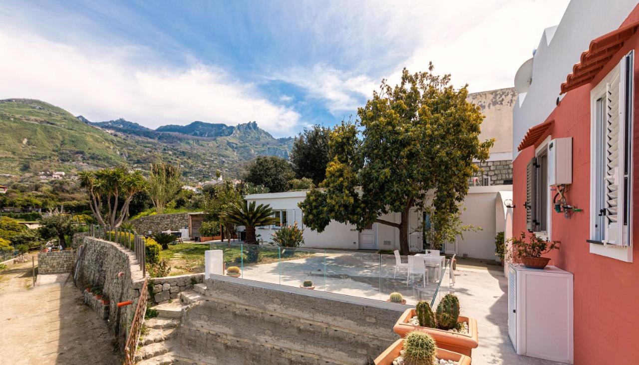 Casa Degli Aranci Villa Forio  ภายนอก รูปภาพ