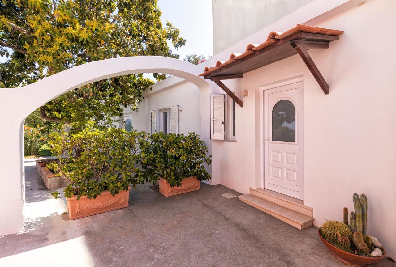 Casa Degli Aranci Villa Forio  ภายนอก รูปภาพ